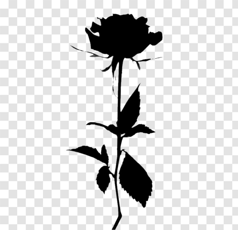Tell Me You Love Garden Roses Image - Sunflower - Flower Transparent PNG