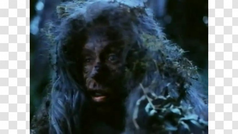 Gorilla Horror Werewolf Special Effects - Darkness Transparent PNG