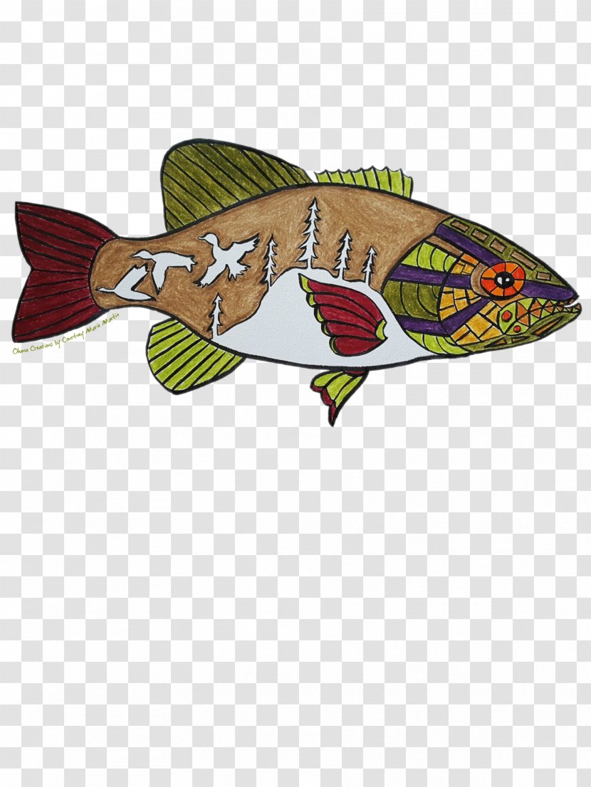 Illustration Graphics Fish - Bass - Watercolor Transparent PNG
