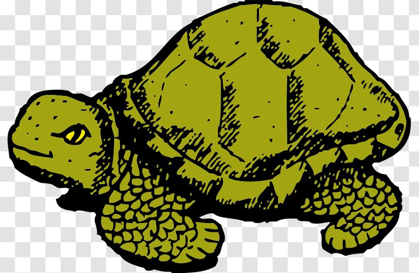 Turtle The Tortoise And Hare Cartoon Clip Art - Desert - Dribbling Animal Cliparts Transparent PNG
