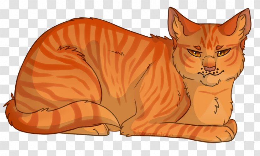 Whiskers Kitten Tabby Cat Tiger - Feathertail Transparent PNG
