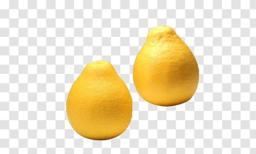 Lemon Grapefruit Citron Tangelo Citrus Junos - Food Transparent PNG