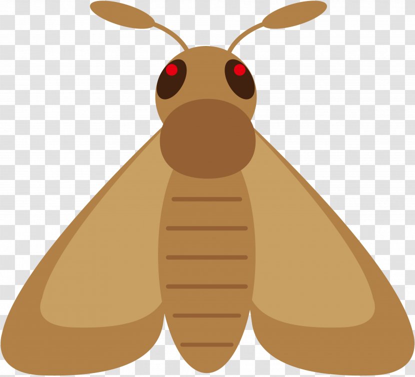 Insect Illustration Image Photography Moth - Copyrightfree - Public Domain Transparent PNG