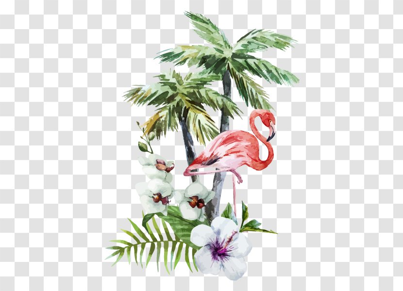 Arecaceae Watercolor Painting Wallpaper - Flamingo - Flora Transparent PNG