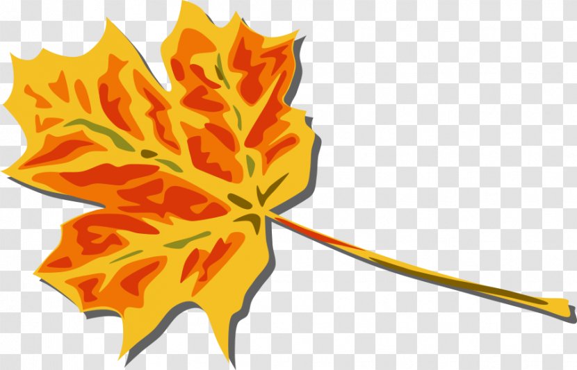 Autumn Leaf Color Clip Art - Royaltyfree - Fall Vector Transparent PNG