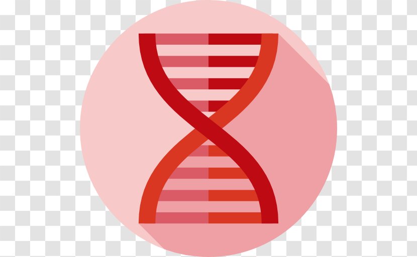 DNA Genetics Biology Molecular Structure Of Nucleic Acids: A For Deoxyribose Acid Chemistry - Vector Transparent PNG