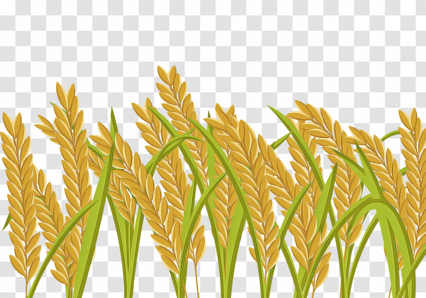 Wheat Transparent PNG