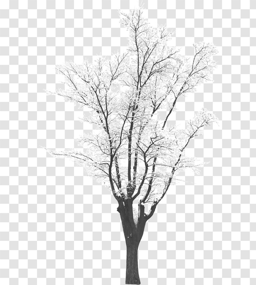 Snow Tree Download - Photography - Winter Trees Transparent PNG