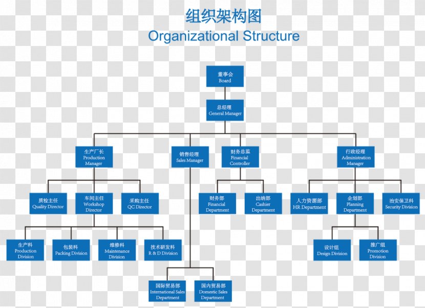 Organizational Structure Chart Diagram - Plot - Business Transparent PNG