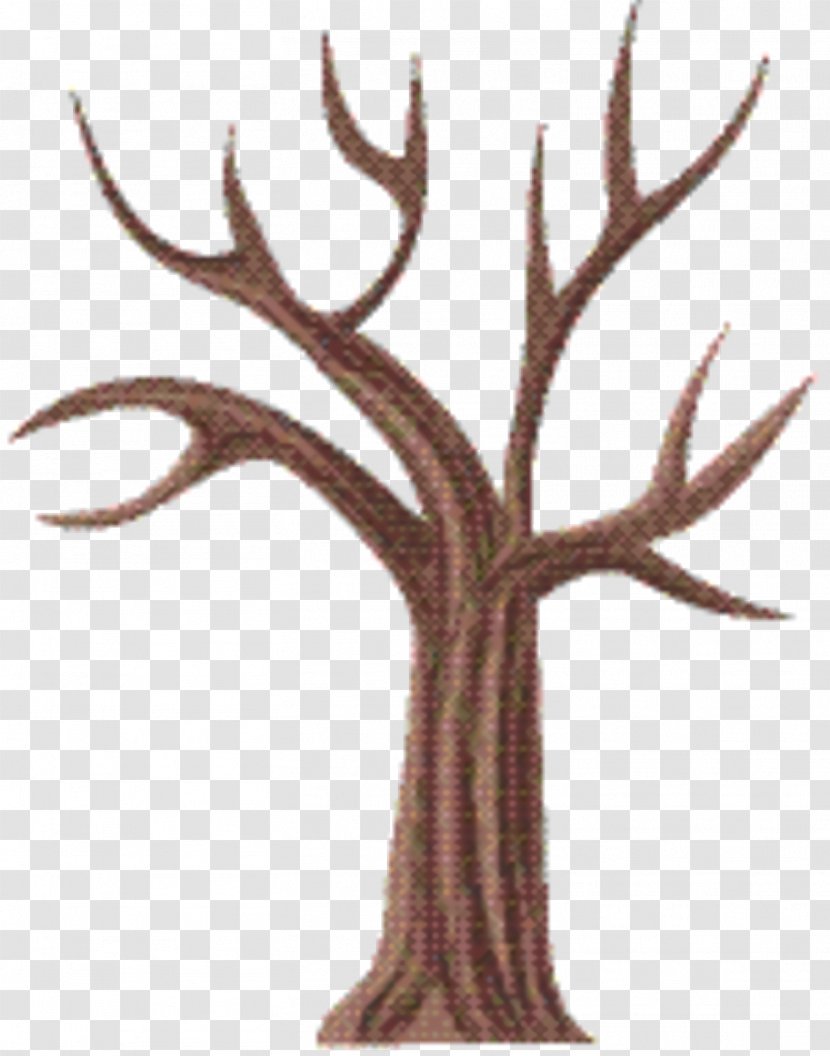 Tree Branch - Plant Stem - Elk Transparent PNG