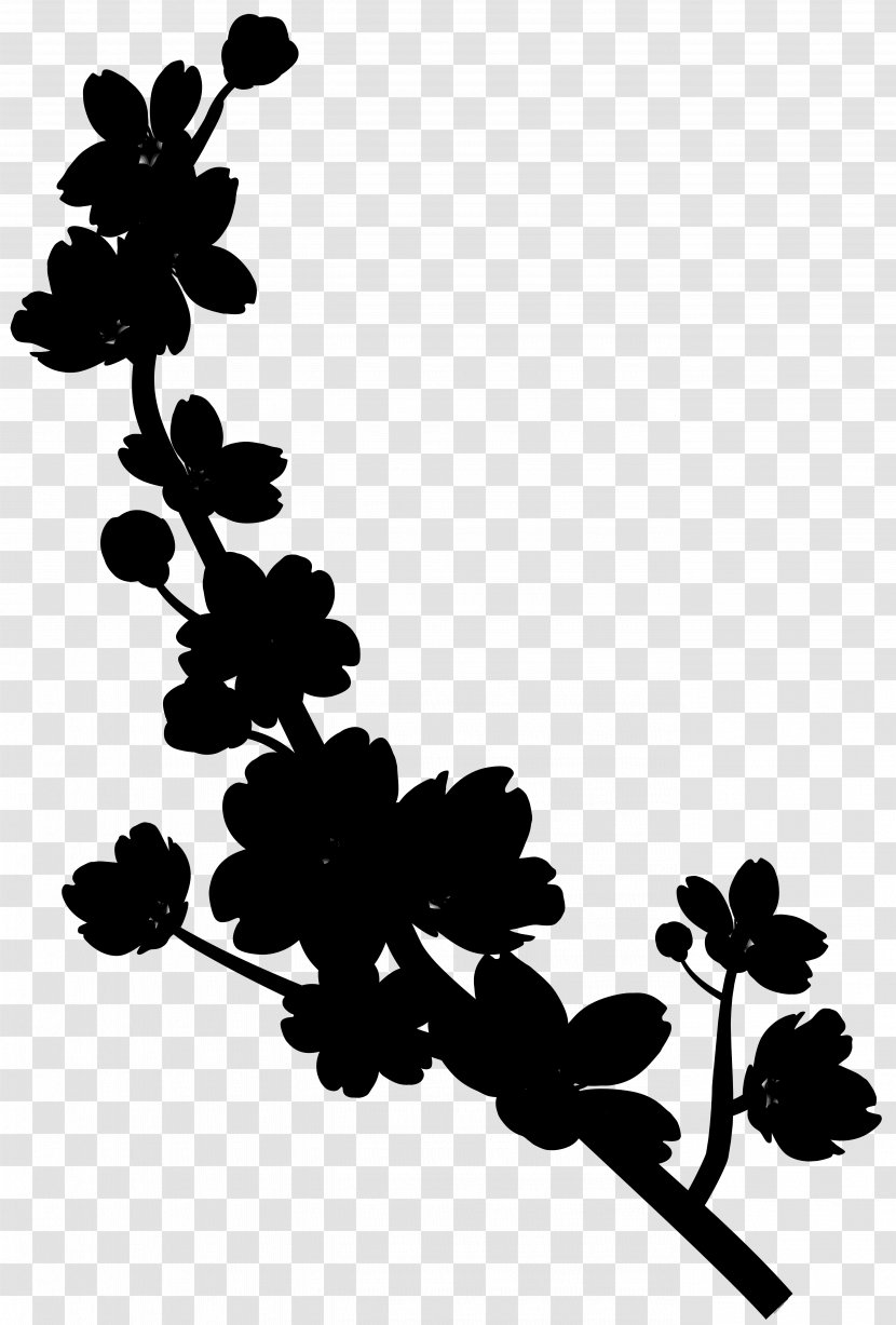 Twig Leaf Plant Stem Design Pattern - Monochrome Photography - Pedicel Transparent PNG