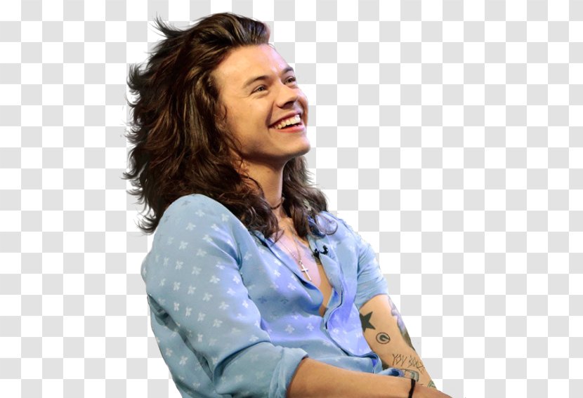 Harry Styles Actor One Direction Desktop Wallpaper - Cartoon - Louis C. Camilleri Transparent PNG