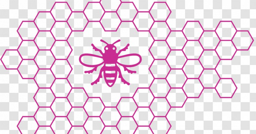 University Of Manchester Enterprise Centre Carpet Alliance Business School Acupressure Mat - Pink Transparent PNG