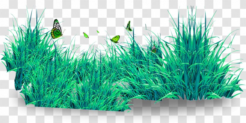 Butterfly Lawn Download - Plant - Beautiful And Transparent PNG