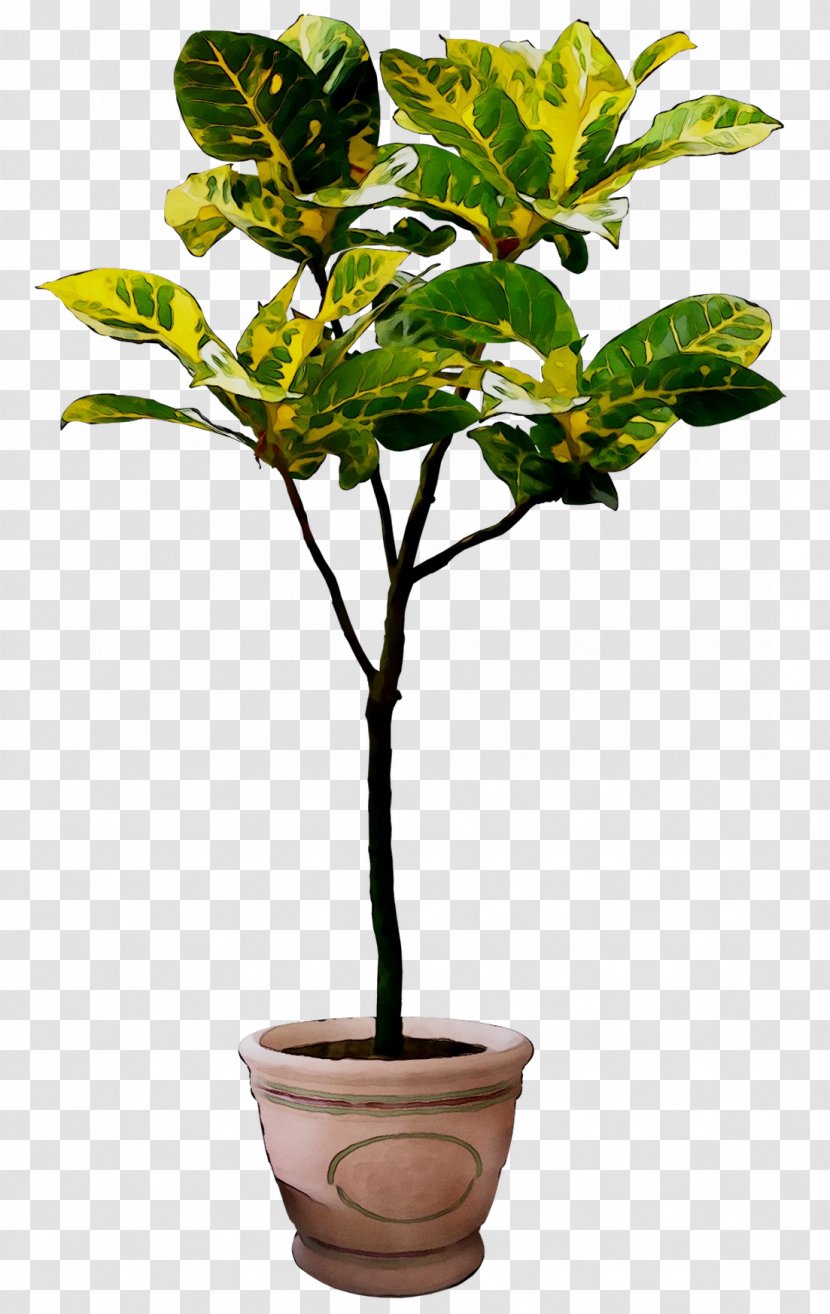 Flowerpot Houseplant Plant Stem Branching Plants - Leaf - Flower Transparent PNG