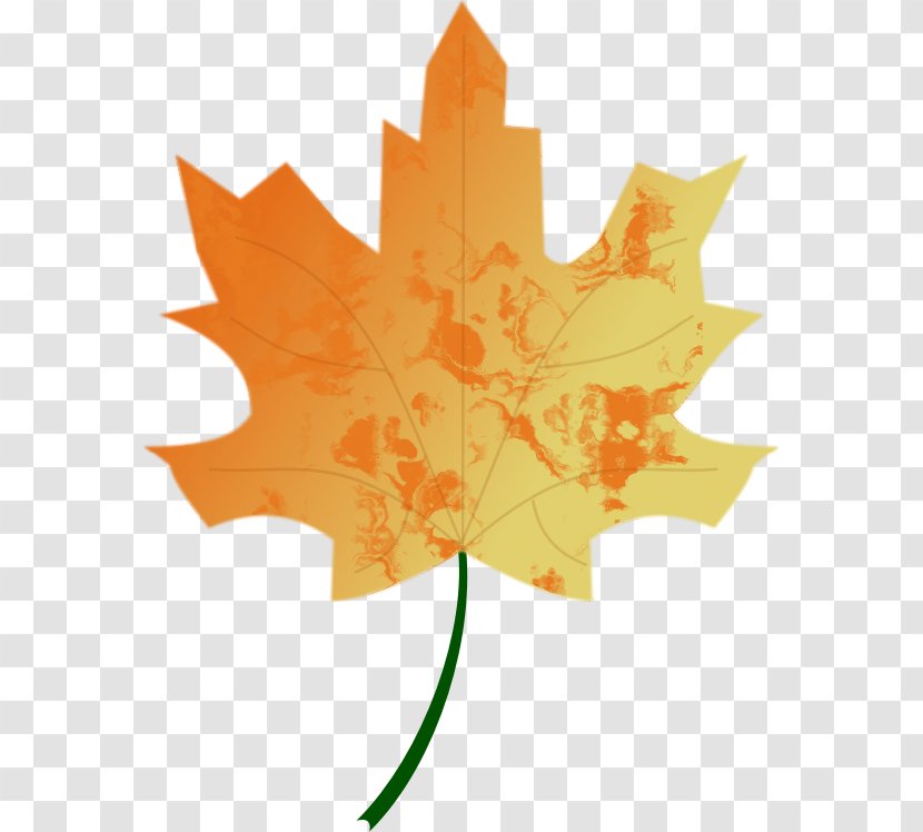 Autumn - Plant - Fall Vector Transparent PNG