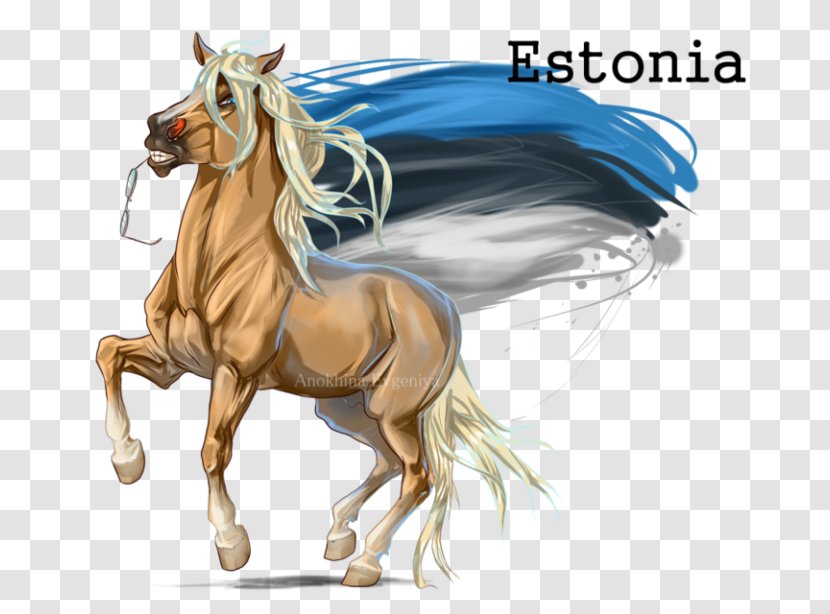 Mane Pony Mustang Stallion Estonian Horse - Tail Transparent PNG