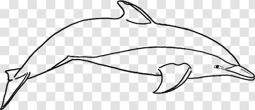 Coloring Book Dolphin Drawing Clip Art - Frame Transparent PNG