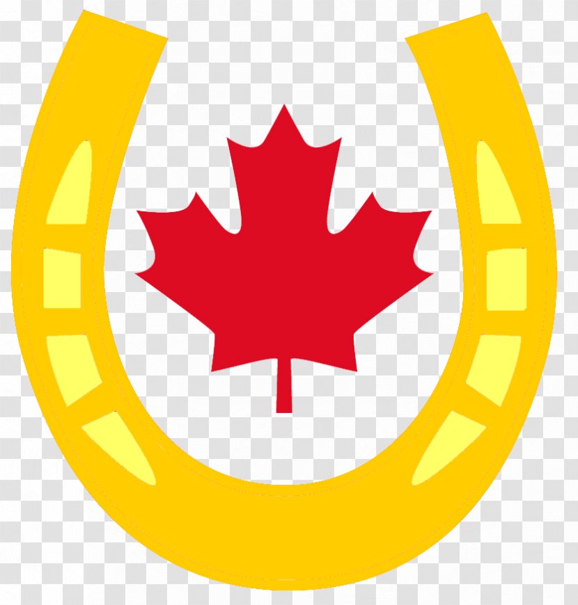 Flag Of Canada Maple Leaf National - Tree Transparent PNG