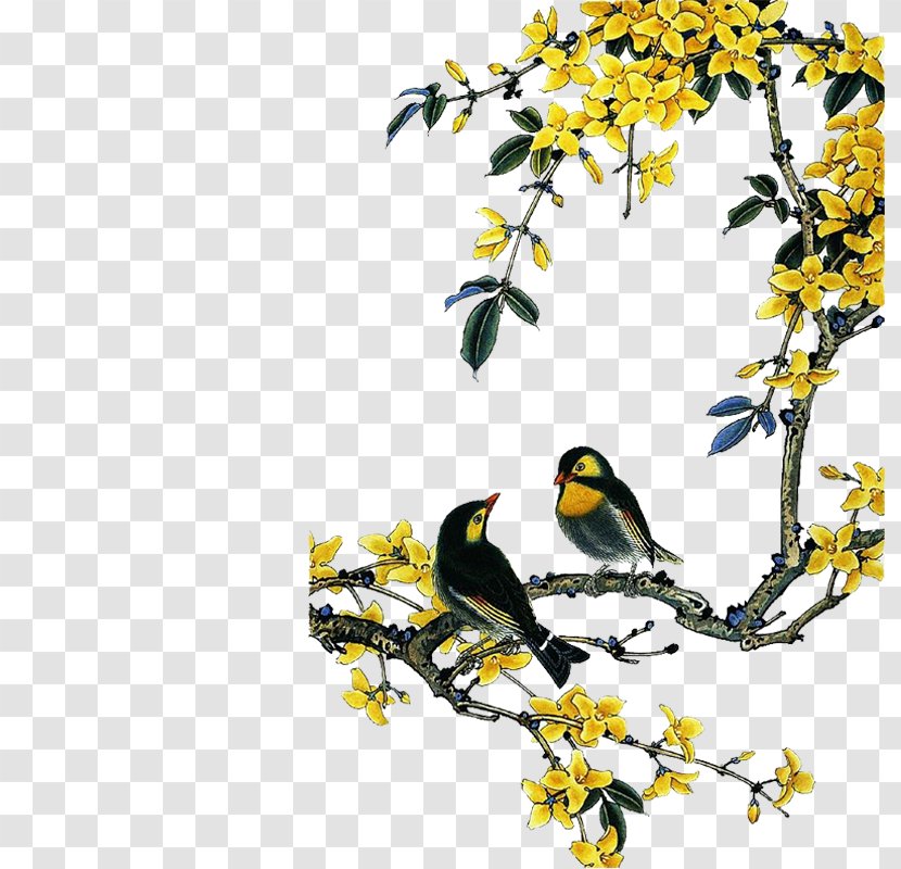 Chinese Birds Painting Bird-and-flower - Flora - Yellow Peach Transparent PNG