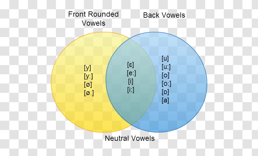 Hungarian Phonology Back Vowel Phonetics - Material Transparent PNG