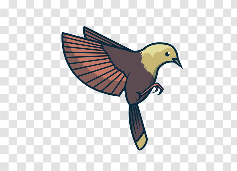 Bird Flight Feather Beak Wing - Flying The Transparent PNG