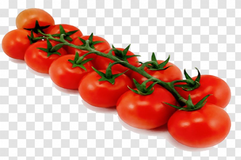 Tomato - Cherry Tomatoes - Plum Fruit Transparent PNG