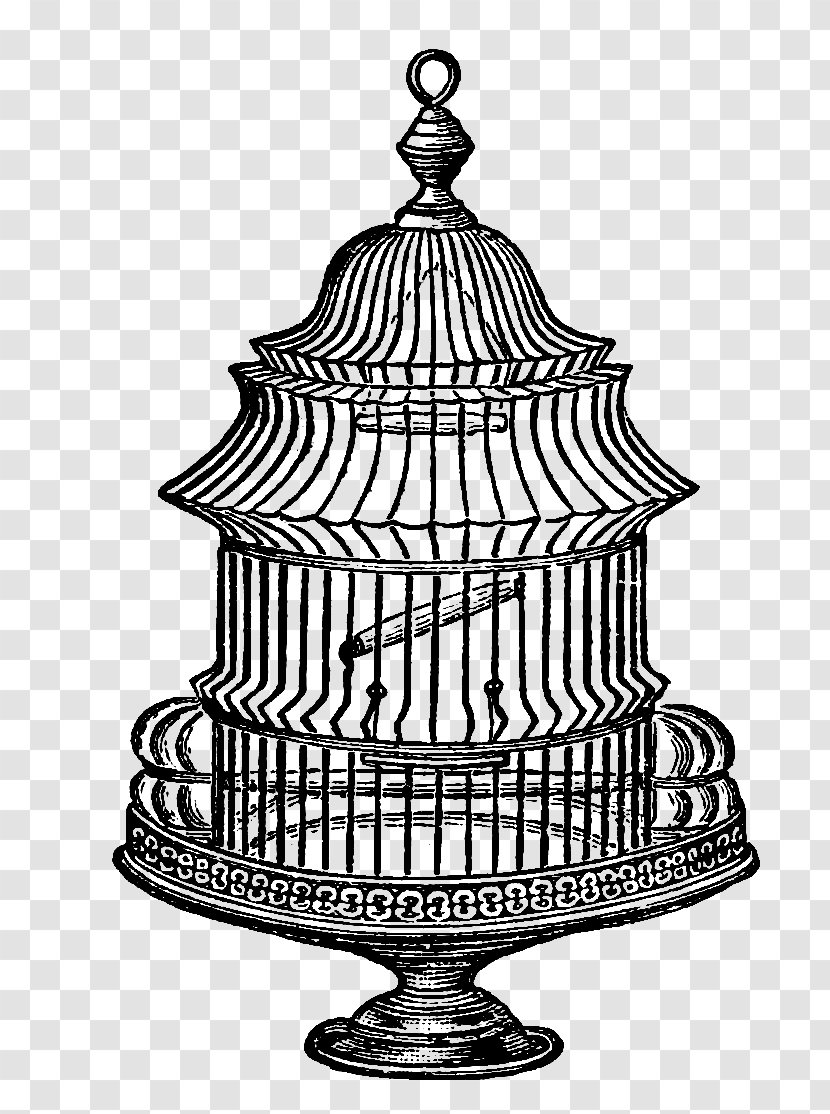 Birdcage Domestic Canary Clip Art - Monochrome Photography - Bird Cage Transparent PNG
