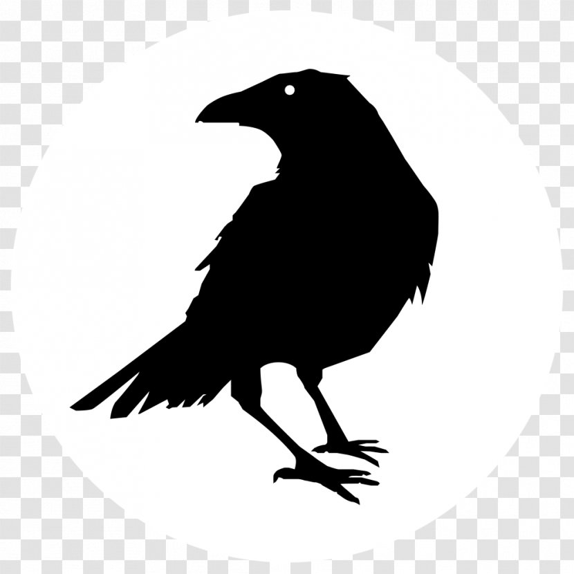 The Raven Crow Common Clip Art - Beak Transparent PNG