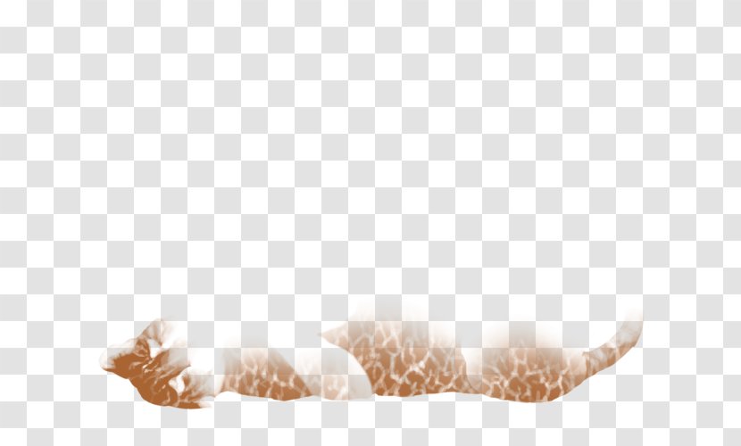 Fur Animal - Crackle Transparent PNG