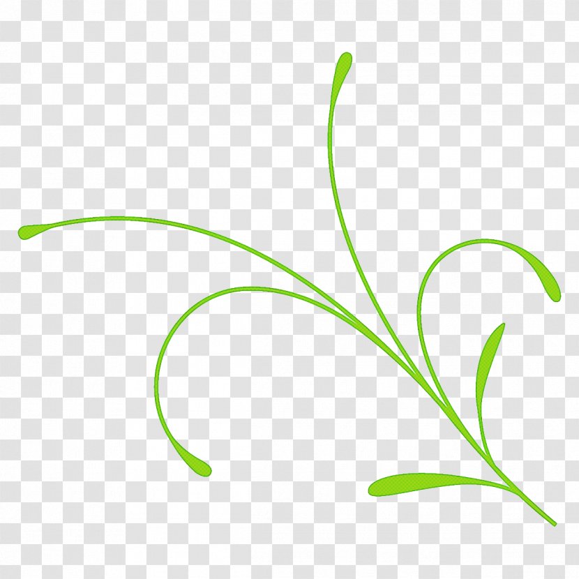 Leaf Grass Plant Family Flower - Pedicel Stem Transparent PNG