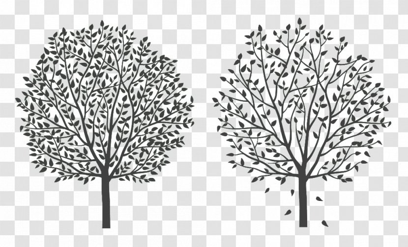 Tree Twig Silhouette Cartoon Line Art - Monochrome Photography - Two Black Silhouettes Of Trees Transparent PNG