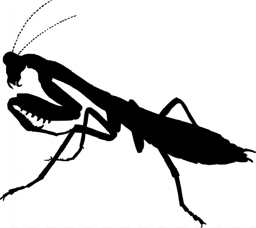 Mantis Praying Drawing Silhouette Clip Art - Arthropod - Viking Warrior Pictures Transparent PNG