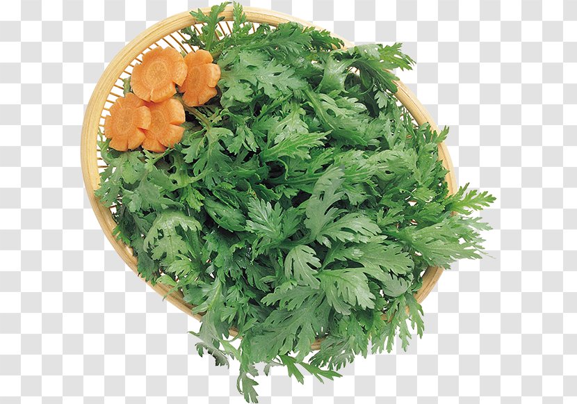 Coriander Parsley Vegetarian Cuisine Herb Clip Art - Vegetable Transparent PNG