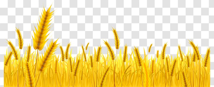 Wheat Farmer Clip Art - Rye - Harvest Transparent PNG
