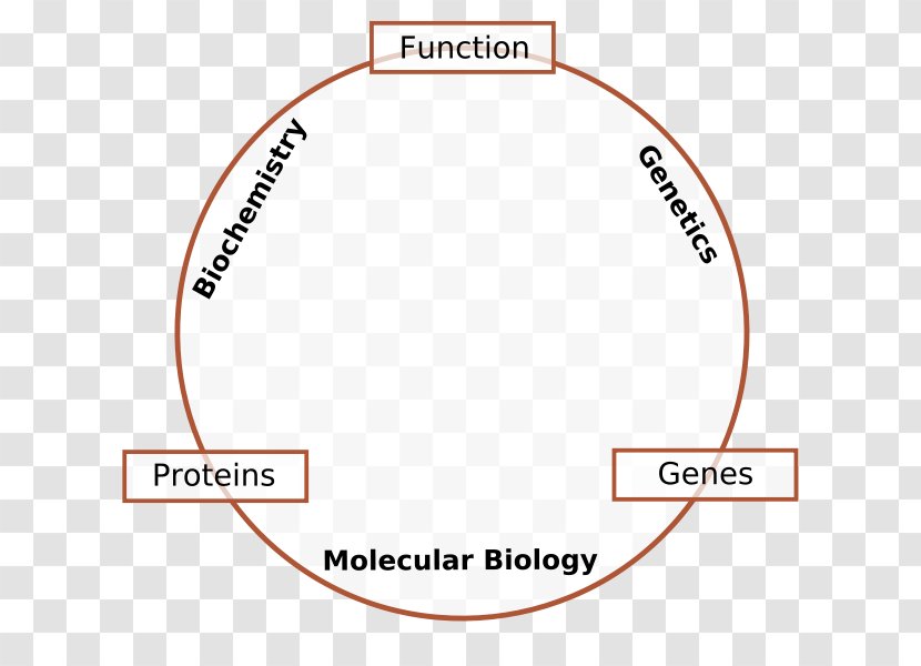 Molecular Biology Genetics Cell Molecule Transparent PNG