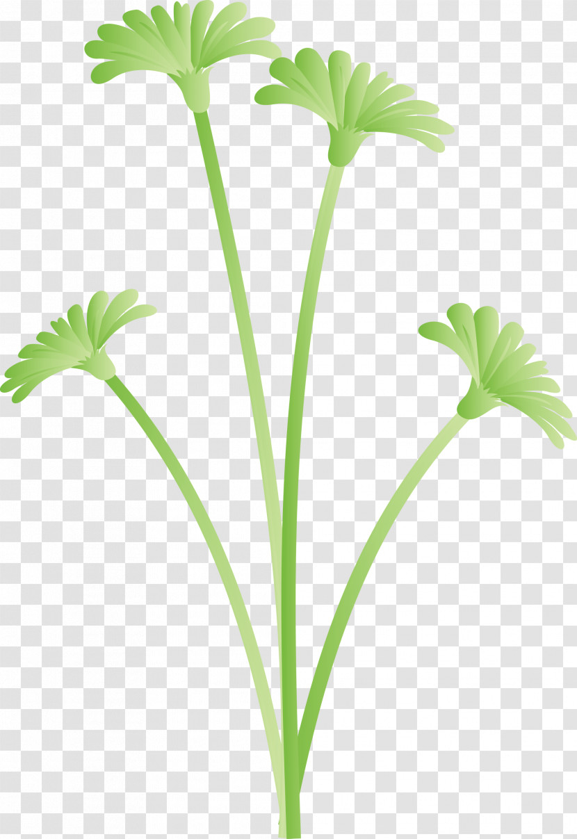 Dandelion Flower Transparent PNG