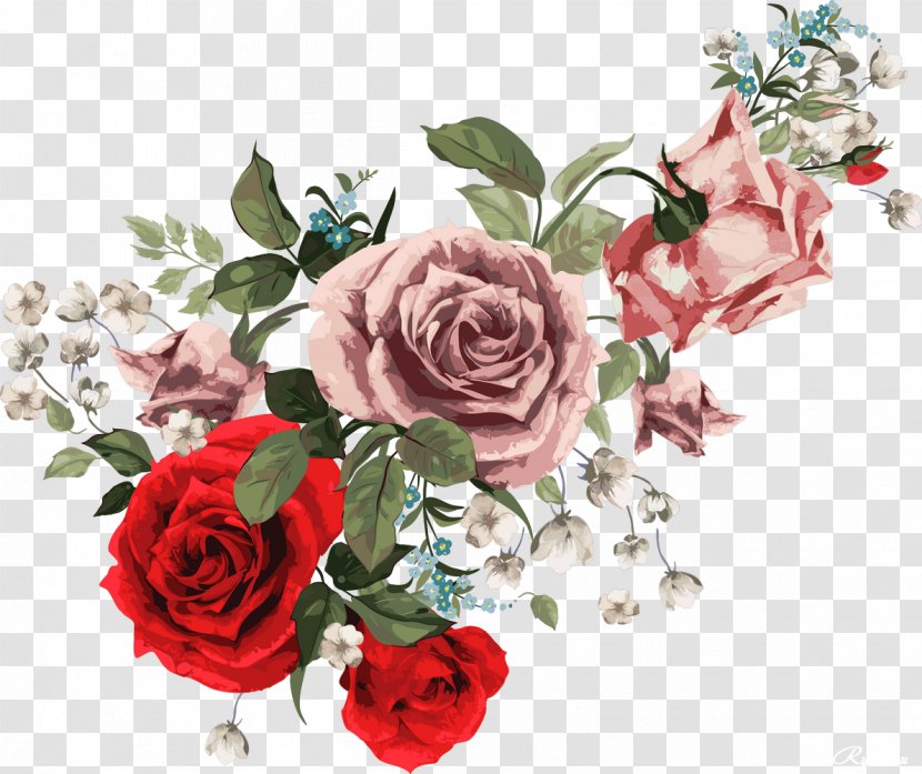 IPhone 6 Flower Mobile Phone Accessories Floral Design - Rose Family - Funeral Transparent PNG