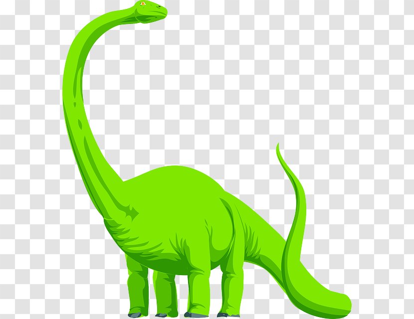 Baby Brontosaurus Apatosaurus Brachiosaurus Stegosaurus - Organism - Dinosaur Bookmark Cliparts Transparent PNG