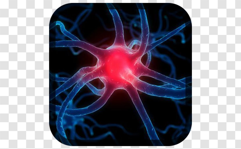 Nervous System Nerve Neurology Neuron Parkinson's Disease - Cartoon - Nerves Transparent PNG