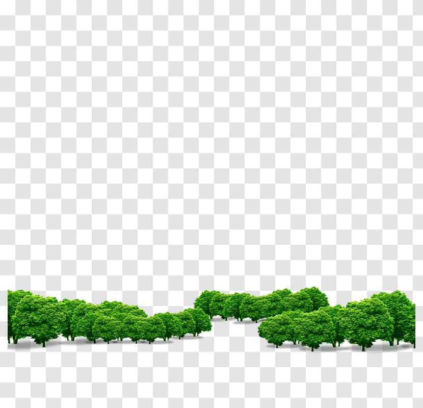 Download Computer File - Grass - Tree Transparent PNG