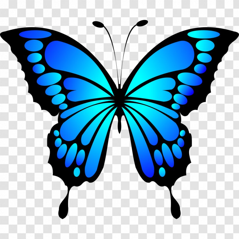 Butterfly Insect Clip Art Image Color - Pollinator Transparent PNG