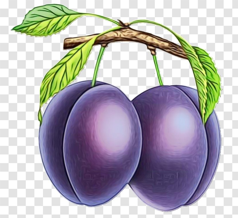 European Plum Violet Fruit Purple Plant - Prune Cherry Transparent PNG