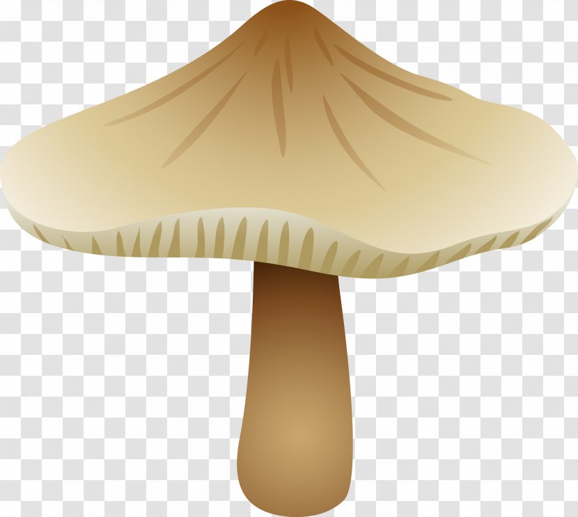Fungus Edible Mushroom Boletus Edulis - Mushrooms Transparent PNG