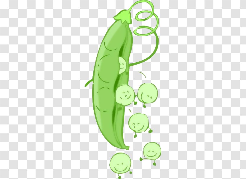 Pea Cartoon Clip Art - Soybean - Lovely Baby Peas! Transparent PNG