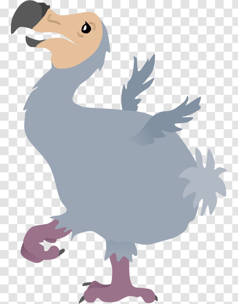 Duck Bird Dinner With The Dodos Clip Art - Wing Transparent PNG