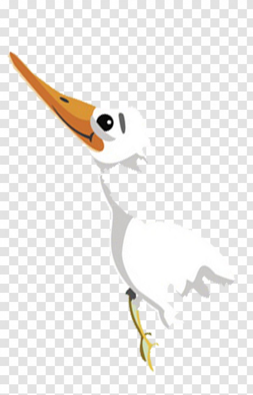 Cartoon Bird - Drawing - White Transparent PNG