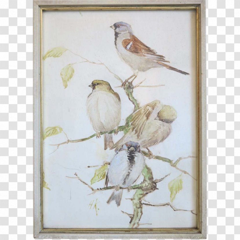 Watercolor Painting Finches Feather Transparent PNG