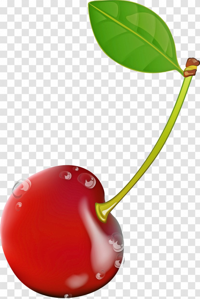 Cherry Red Fruit Plant Leaf - Drupe - Flower Transparent PNG