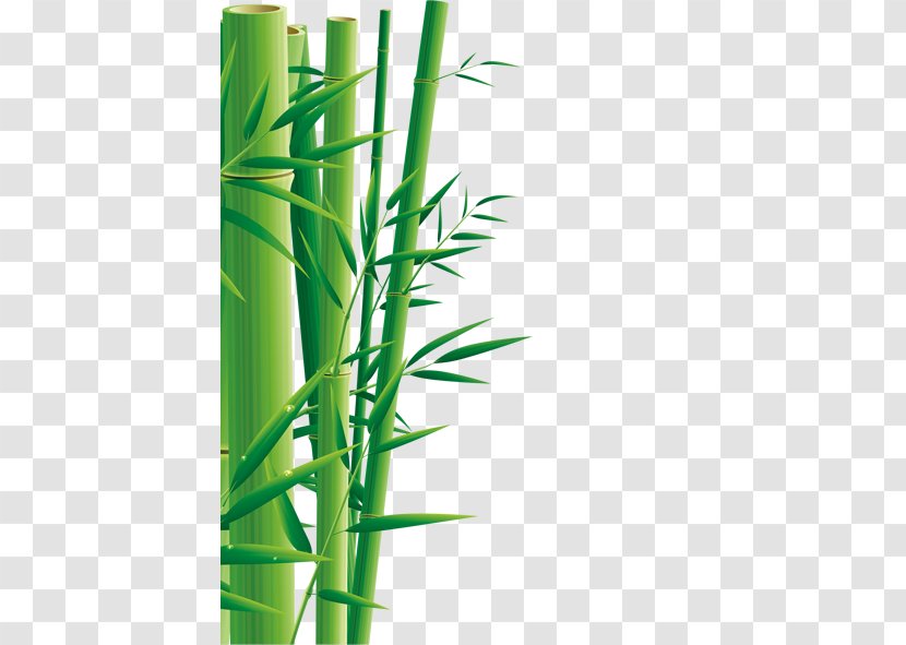 Zongzi Dragon Boat Festival U7aefu5348 Bamboo 5u67085u65e5 - Advertising - Green Transparent PNG